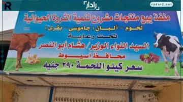 طرح لحوم بلدية بأسعار 290 جنيهاً للكيلو في أسيوط مع خطة توسع واسعة